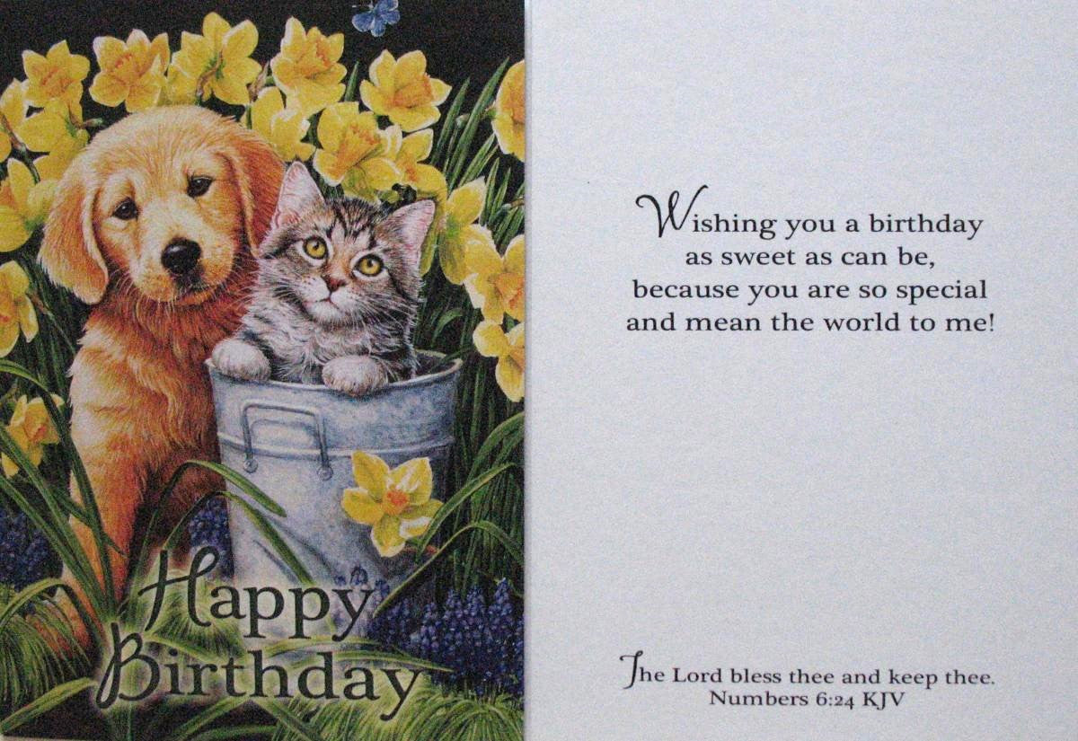 Birthday Greeting Card by Legacy Value Card
