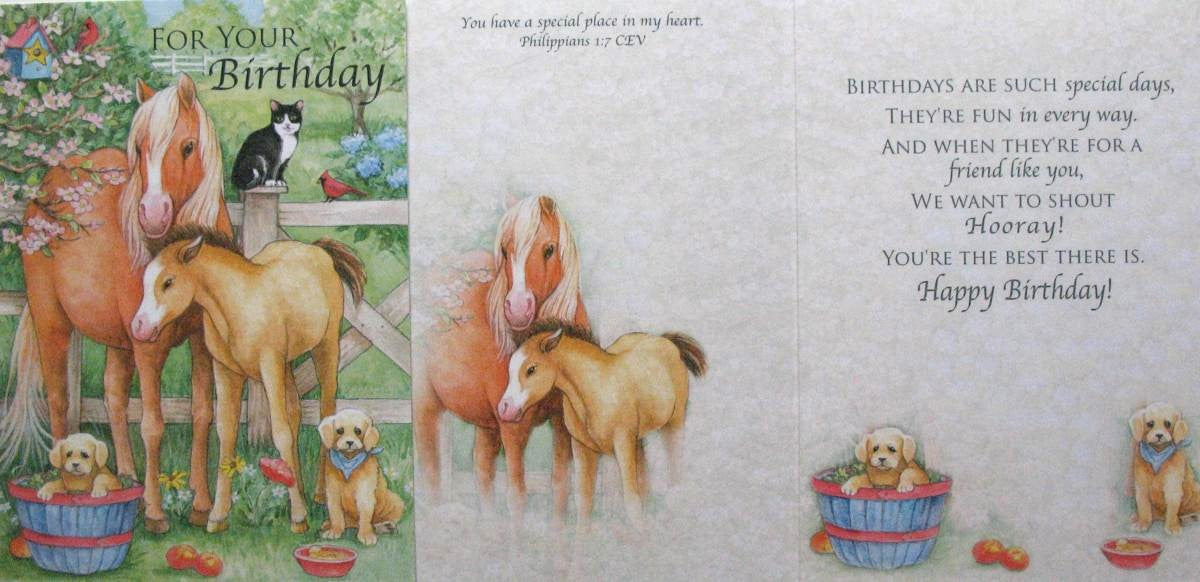 Birthday Greeting Card by Legacy with Deluxe Envelope