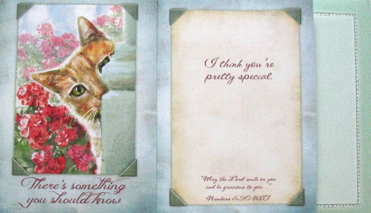 Friendship Greeting Card by Legacy with Deluxe Envelope