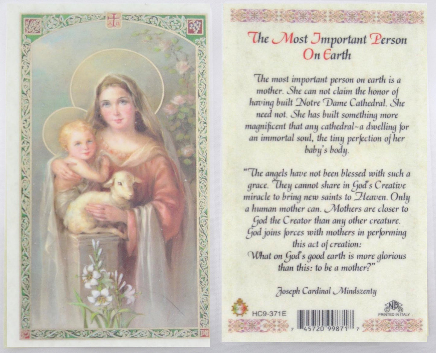 Laminated - The Most Important Person on Earth - A Mother