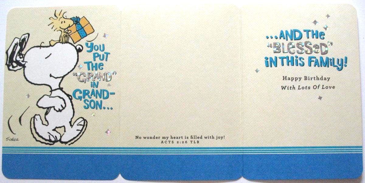 Grandson Birthday Greeting Card