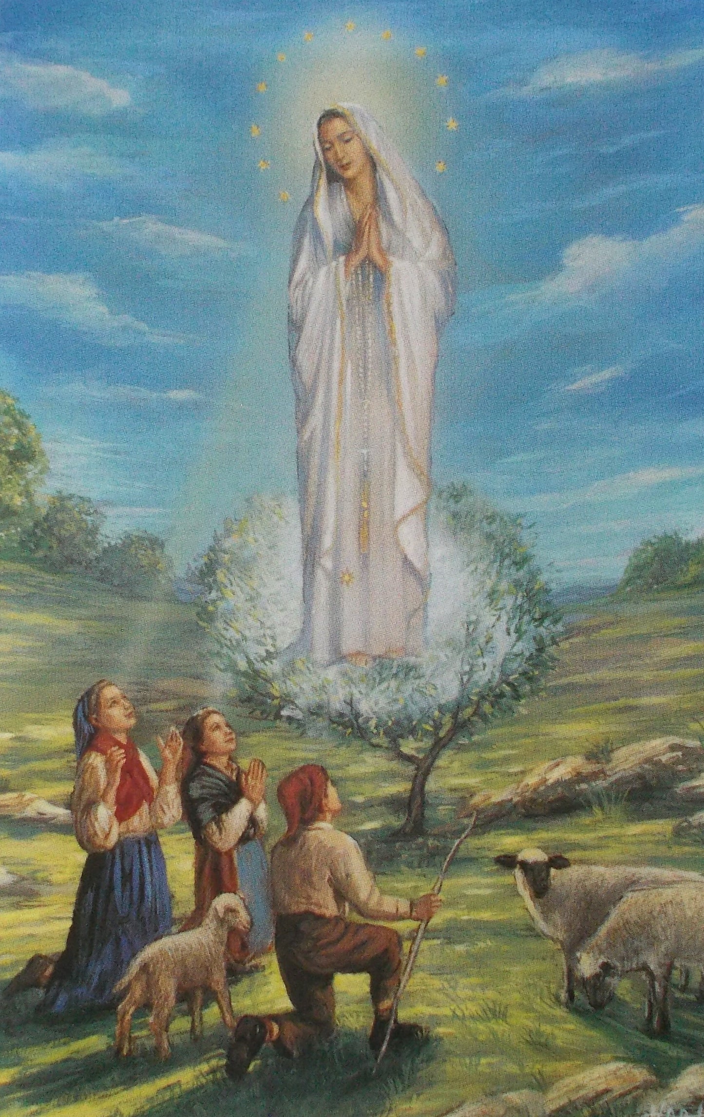 Our Lady of Fatima Holy Card - Blank on Back