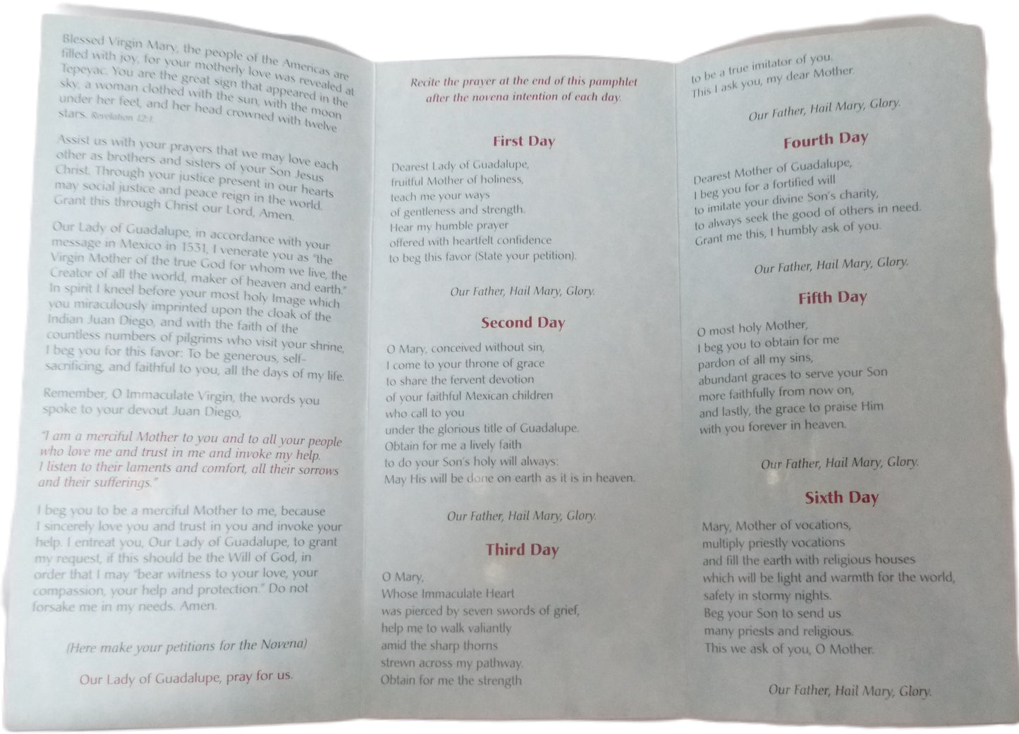 Novena In Honor of Our Lady of Guadalupe