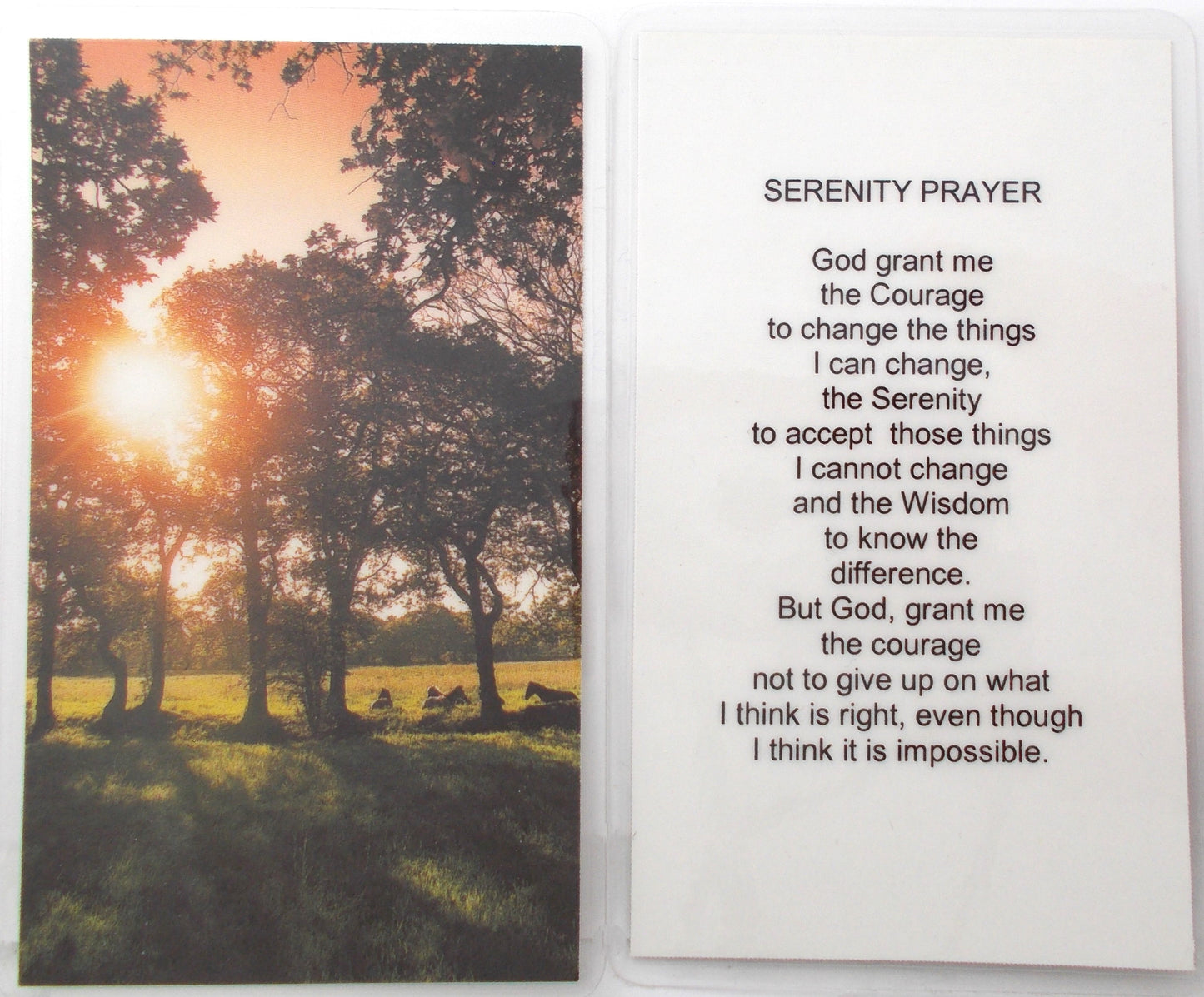 Laminated - Serenity Prayer