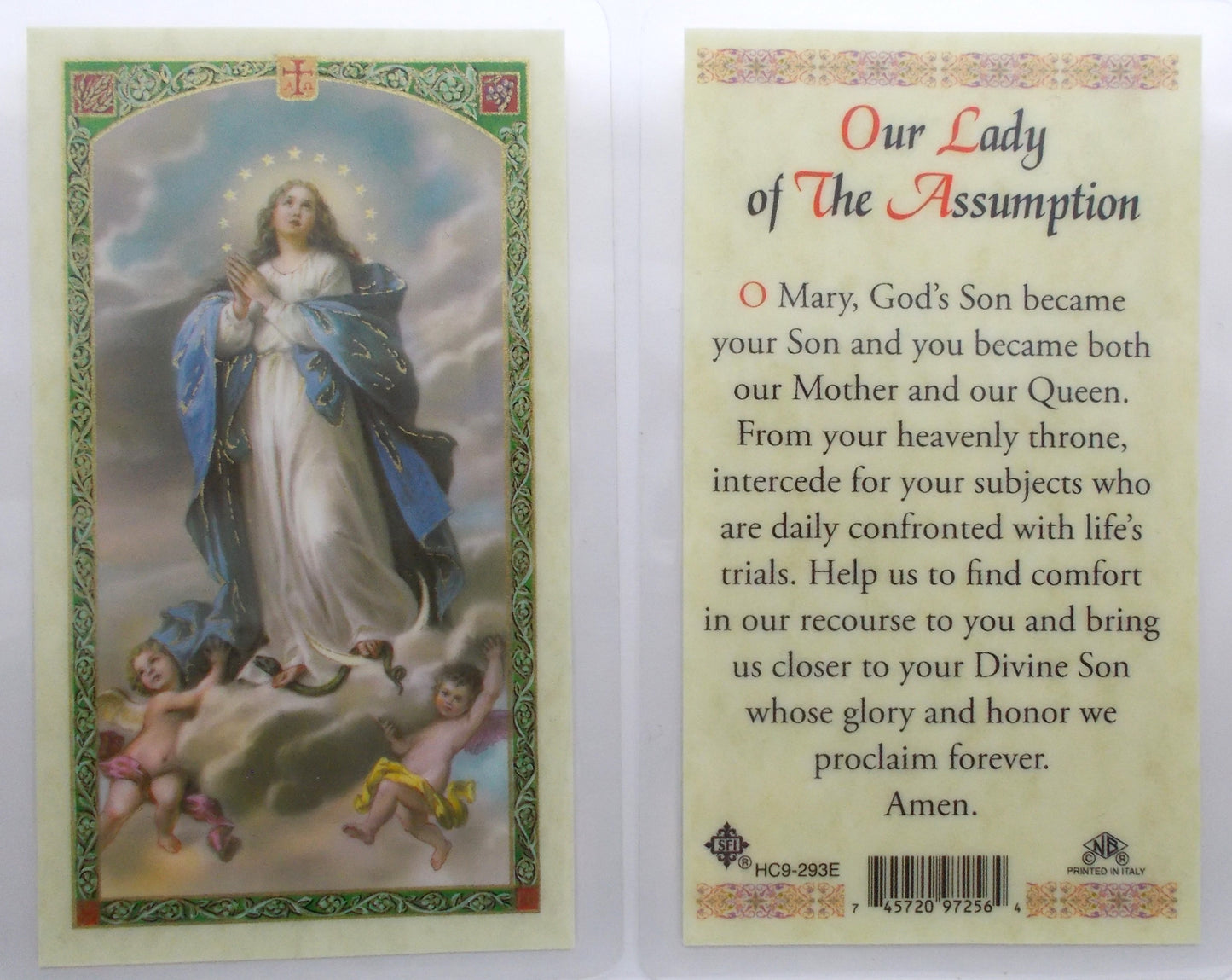 Laminated - Our Lady of the Assumption