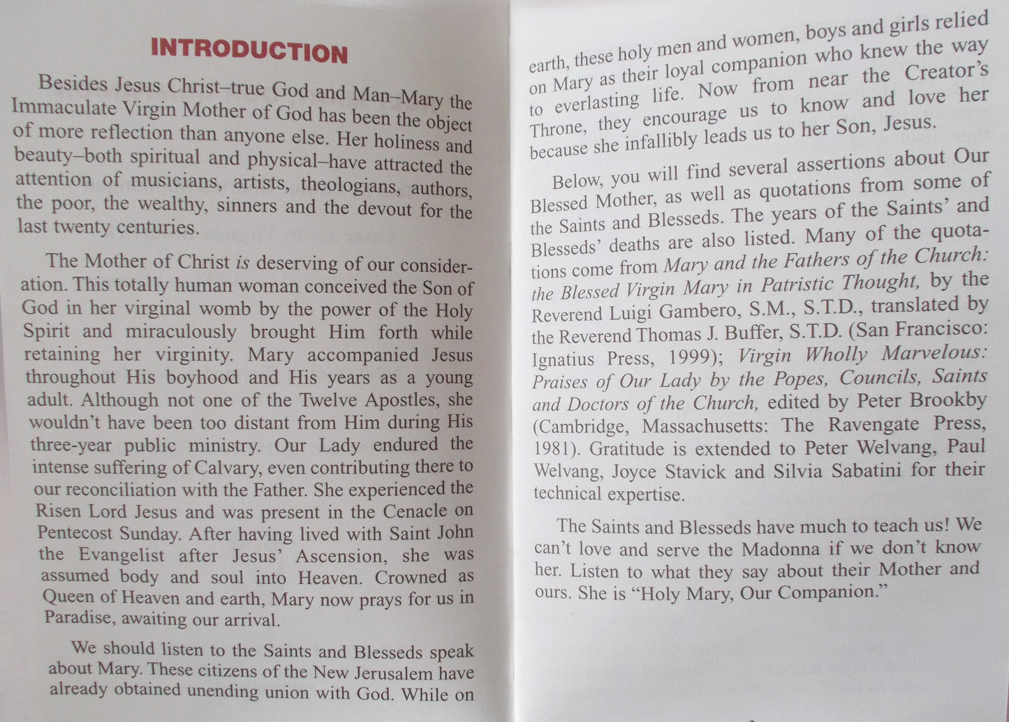 Holy Mary, Our Companion