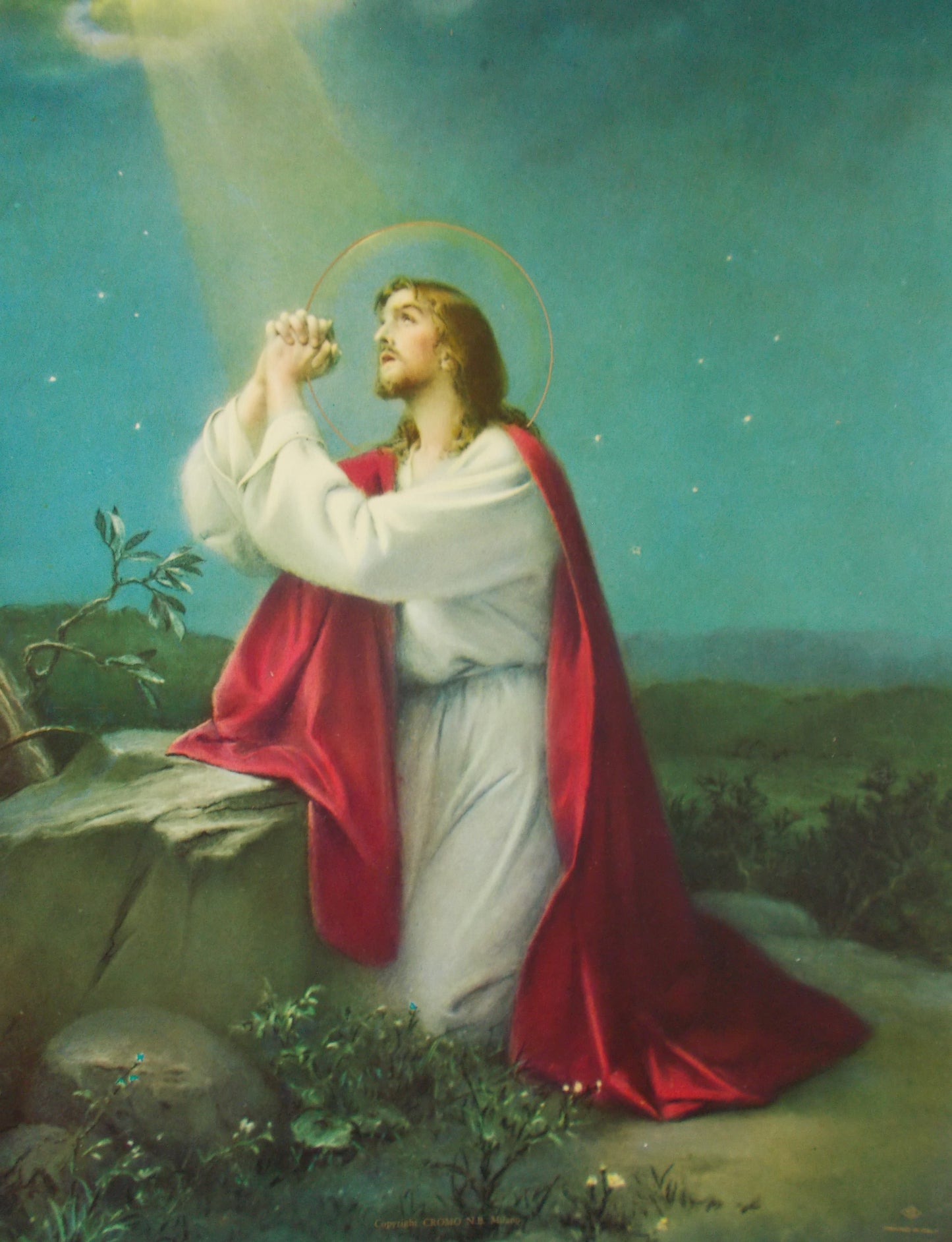 Agony in the Garden 8 x 10 Picture