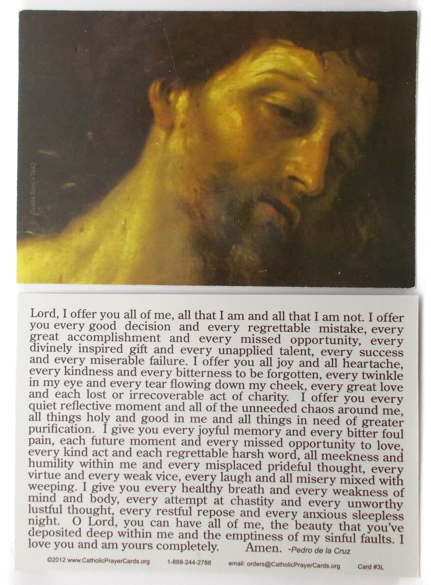 Coated Cardstock - Christ The King - Bulk Pricing Available!