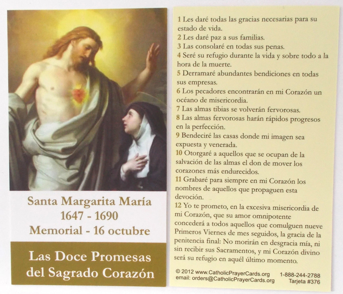 Coated Cardstock - Female Saints / Holy Women (M) - Bulk Pricing Available!