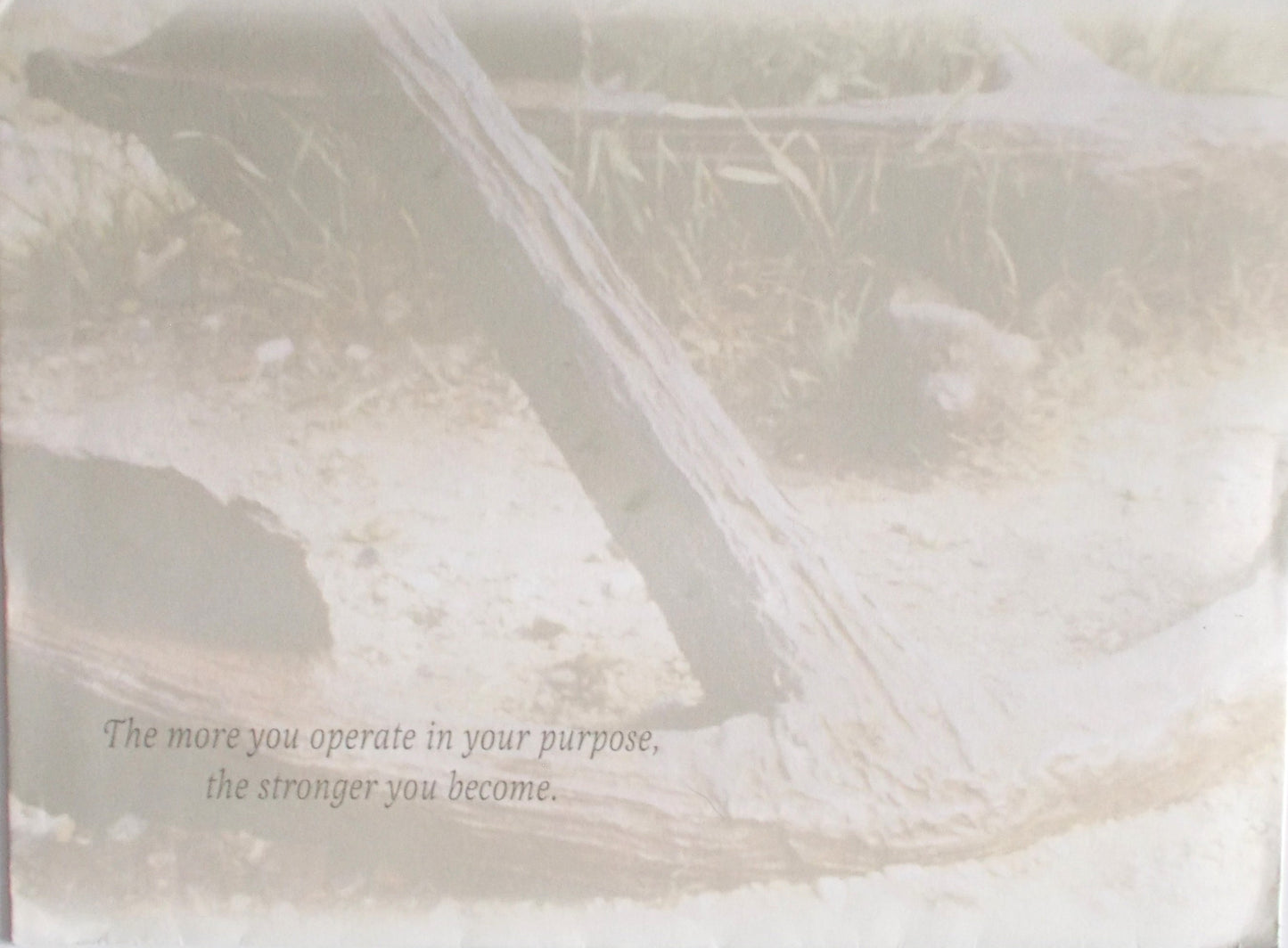 Giftable Greeting - Note Pad / Bookmark