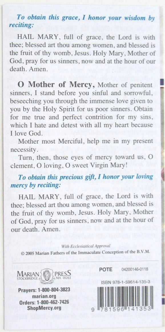 Practice of the Three Hail Marys and Efficacious Novena