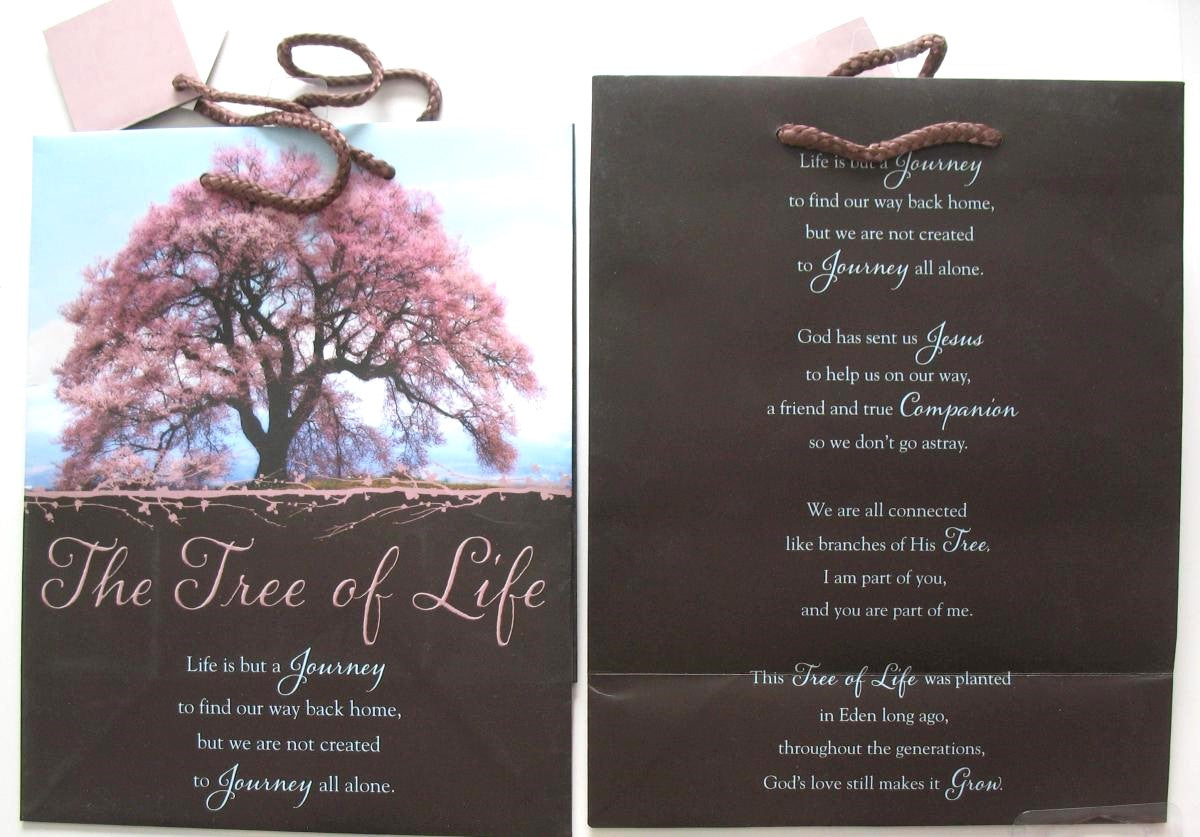 Gift Bag with Tissue - Large