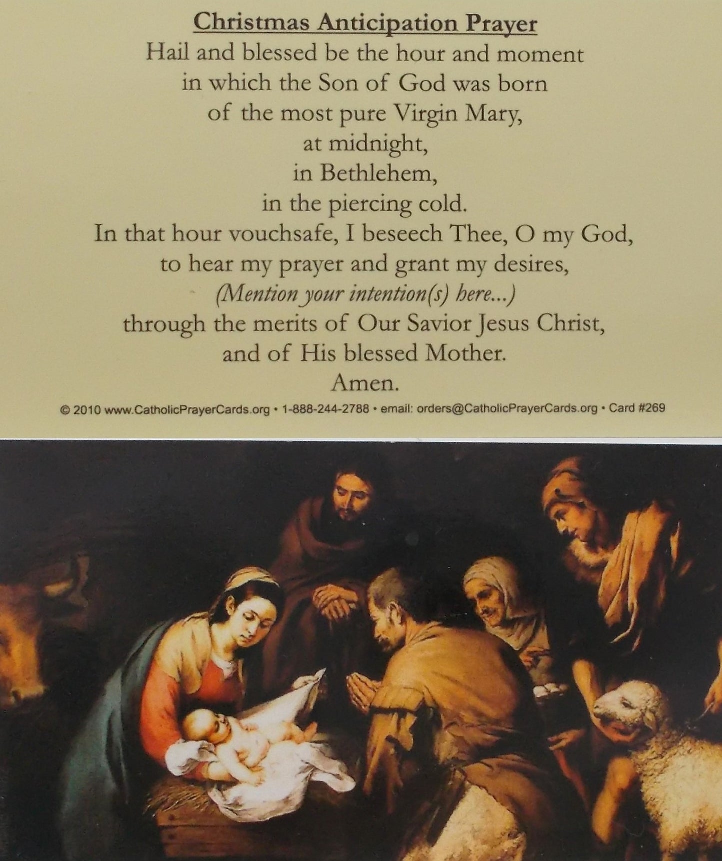 Coated Cardstock - Christmas - Bulk Pricing Available!