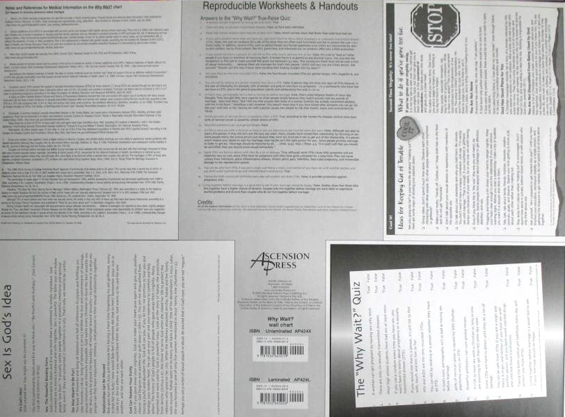 Poster - Why Wait? ( Chastity ) - Unlaminated