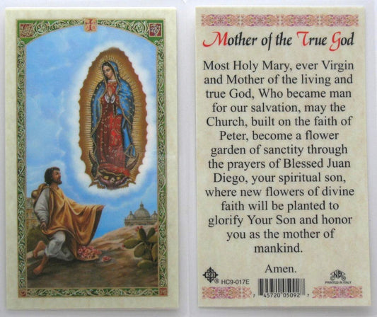 Laminated - Our Lady of Guadalupe / Juan Diego - Mother of the True God