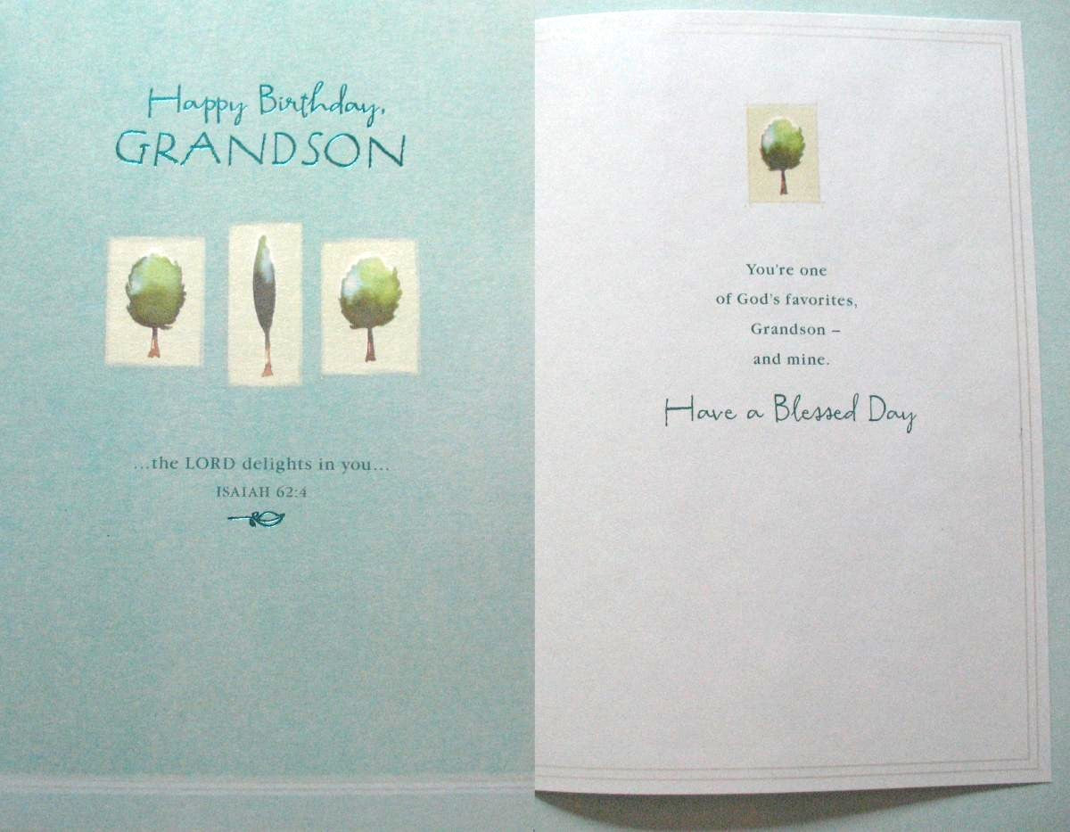 Grandson Birthday Greeting Card