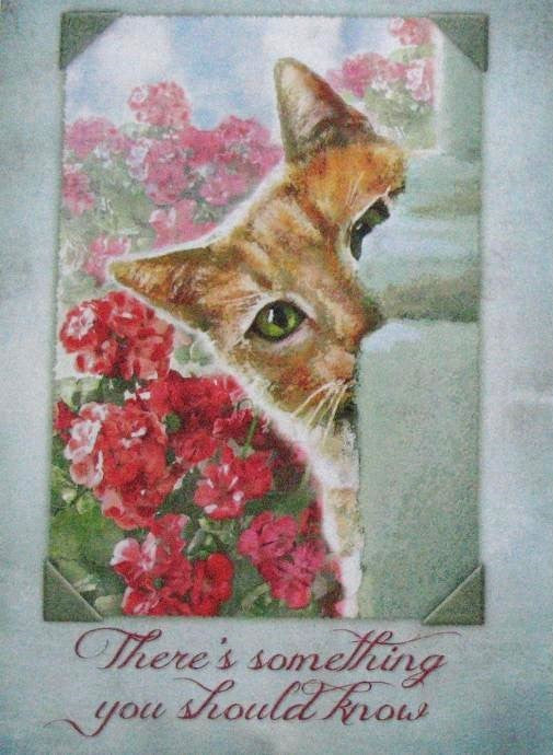 Friendship Greeting Card by Legacy with Deluxe Envelope