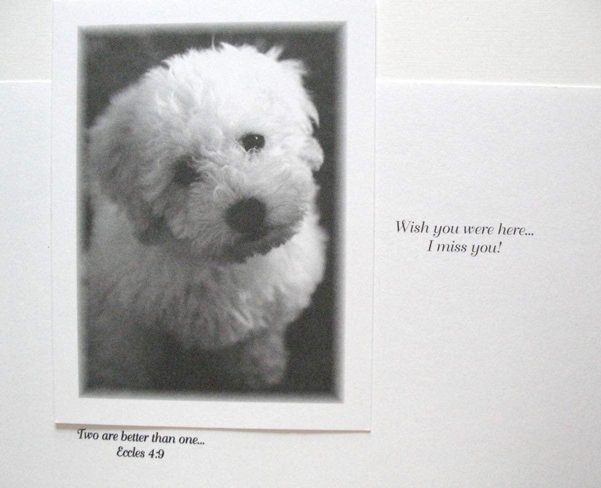 Missing You Greeting Card