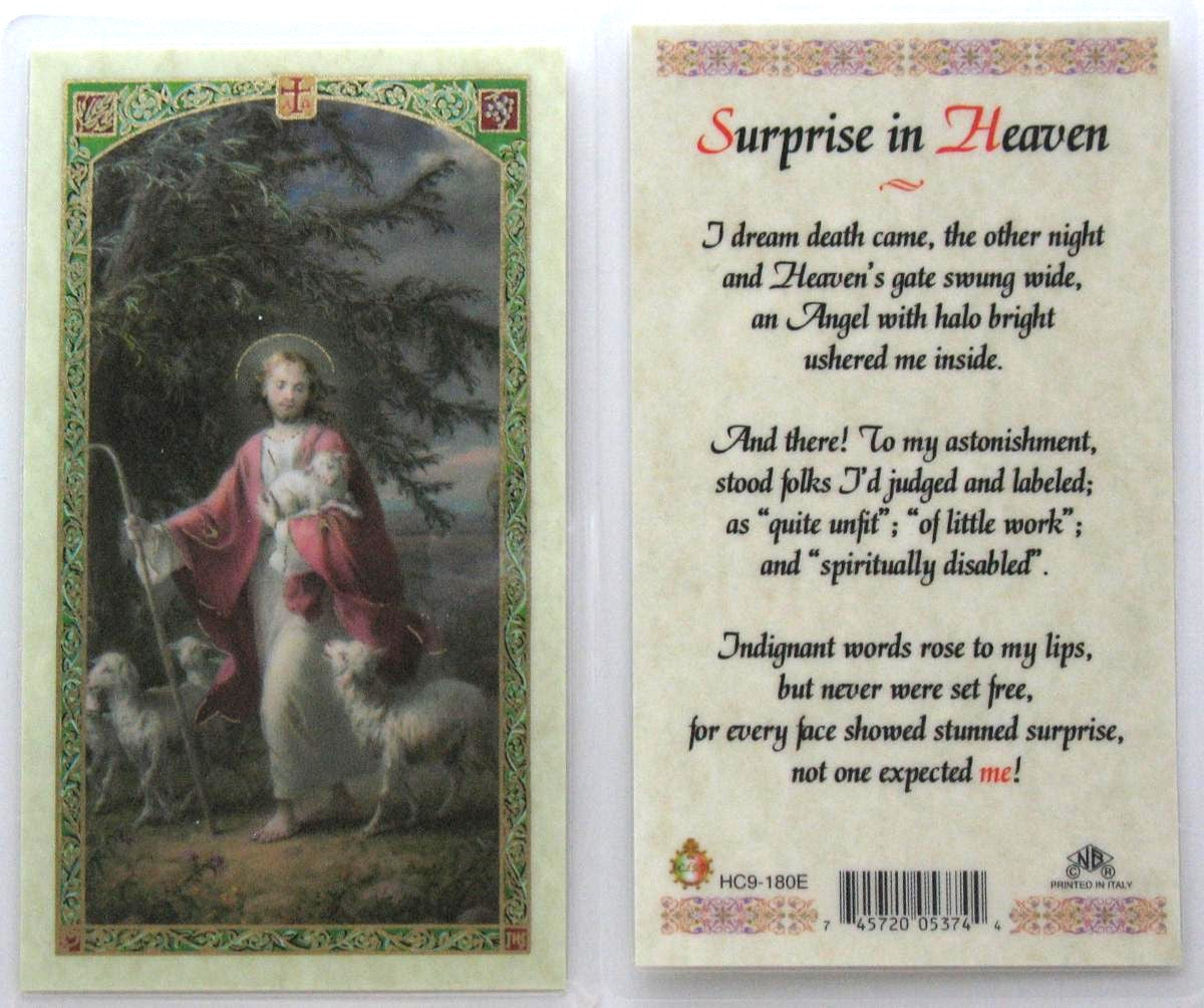 Laminated - Good Shepherd - Surprise in Heaven