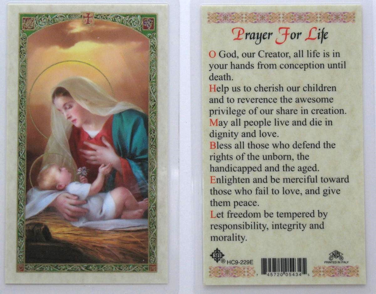 Laminated - Madonna and Child - Prayer for Life