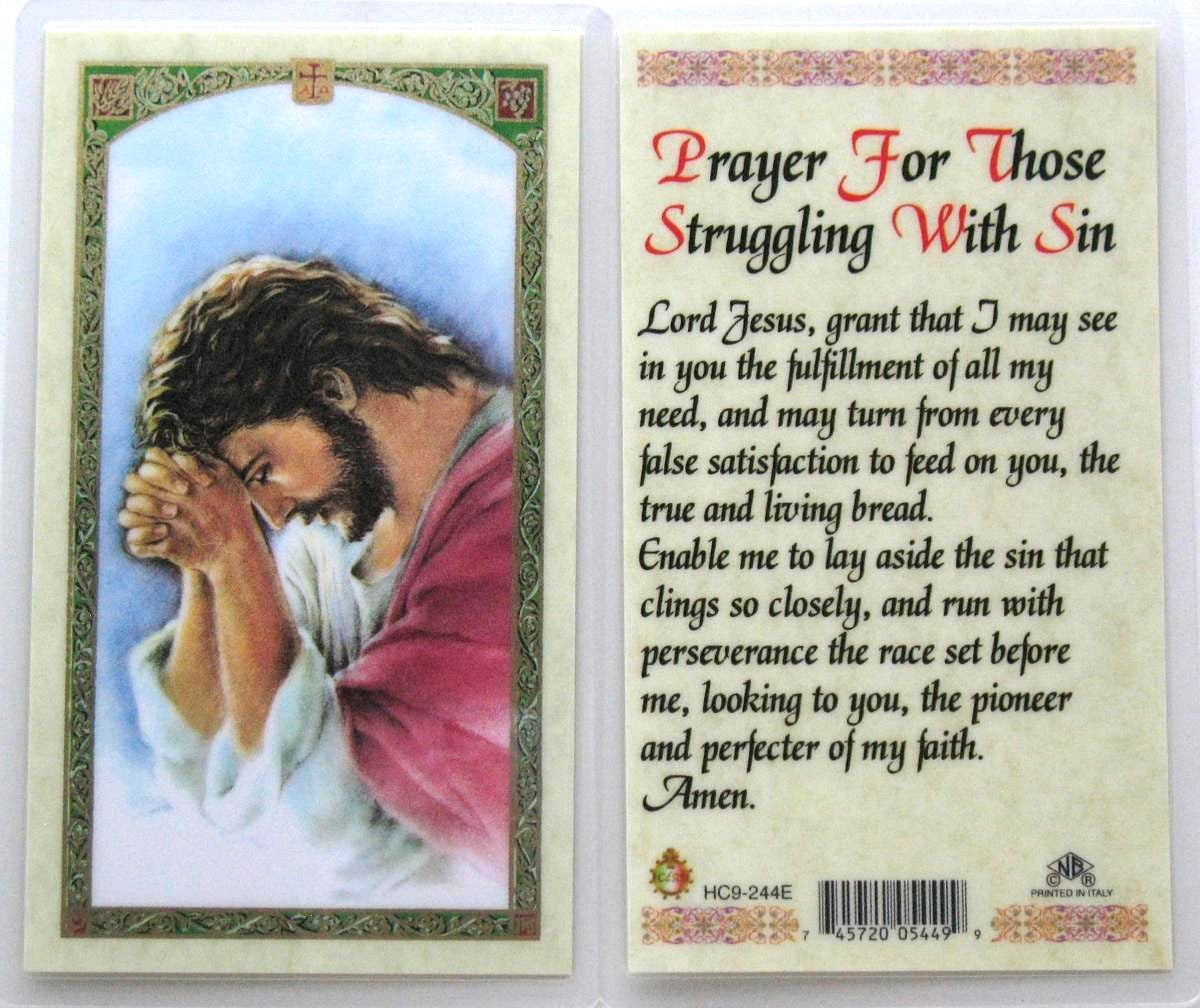 Laminated - Jesus Praying -  Struggling With Sin