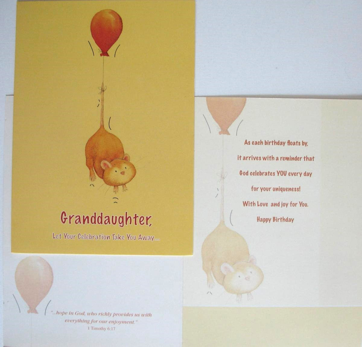 Granddaughter Birthday Greeting Card