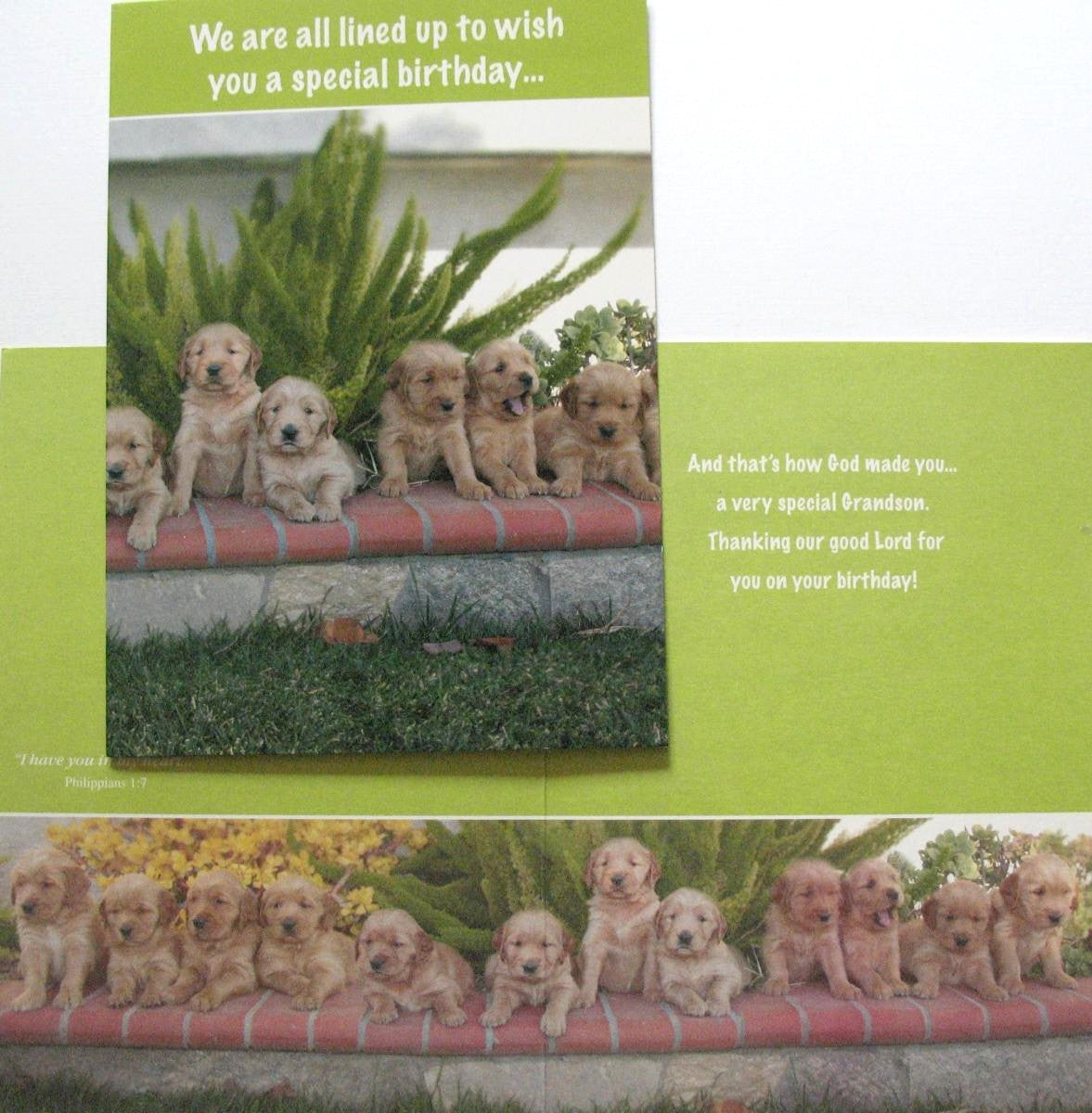 Grandson Birthday Greeting Card