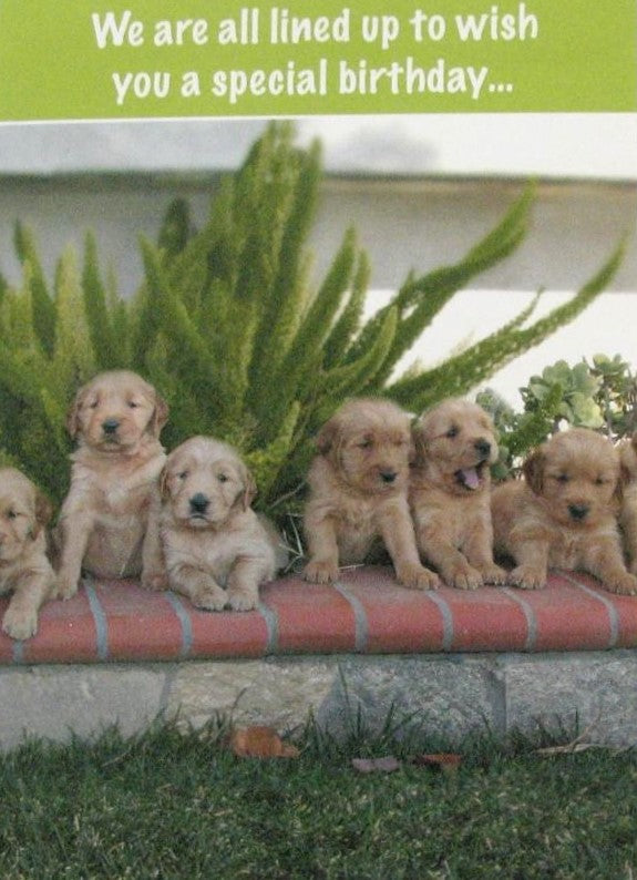 Grandson Birthday Greeting Card