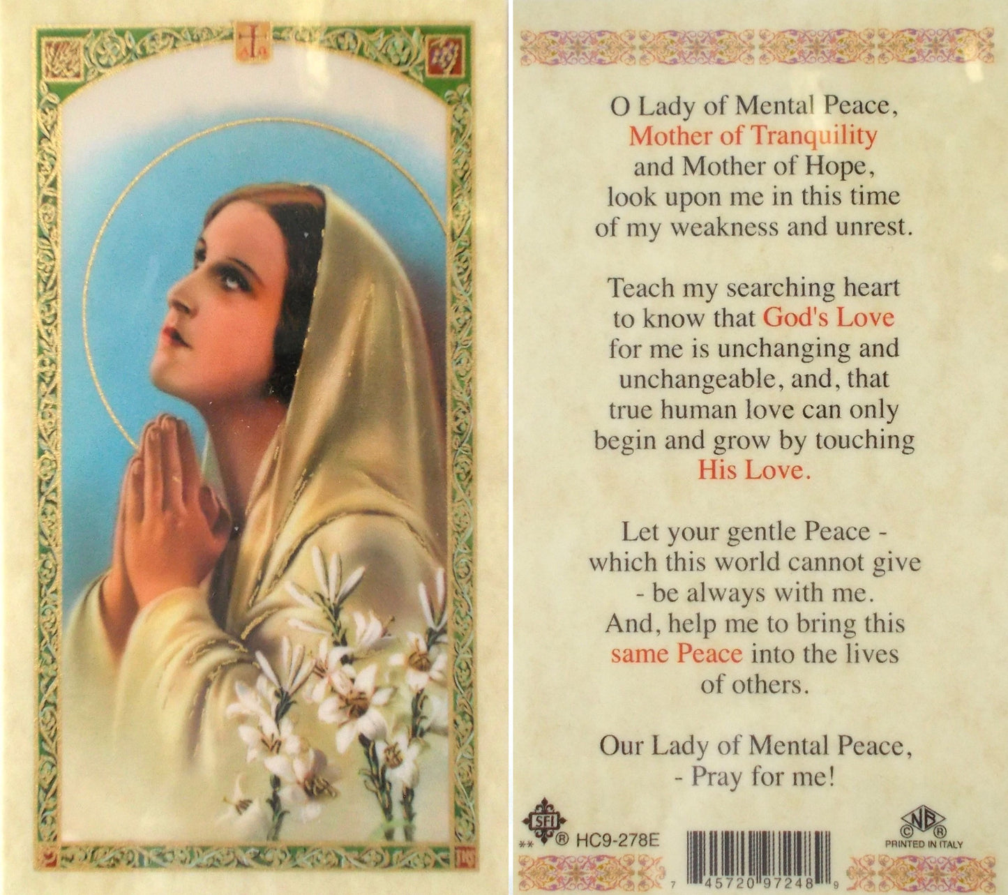 Laminated - Our Lady of Mental Peace