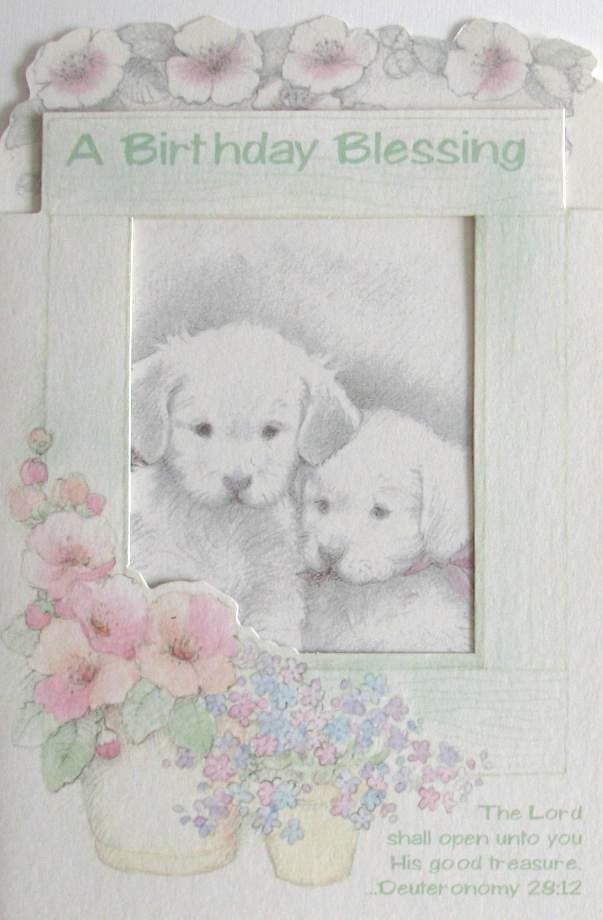 Birthday Greeting Card