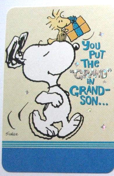 Grandson Birthday Greeting Card