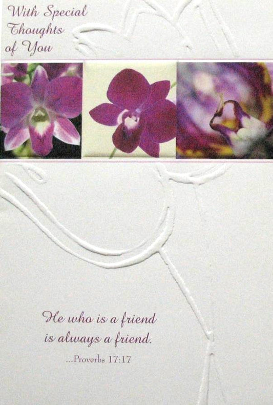 Friendship Greeting Card