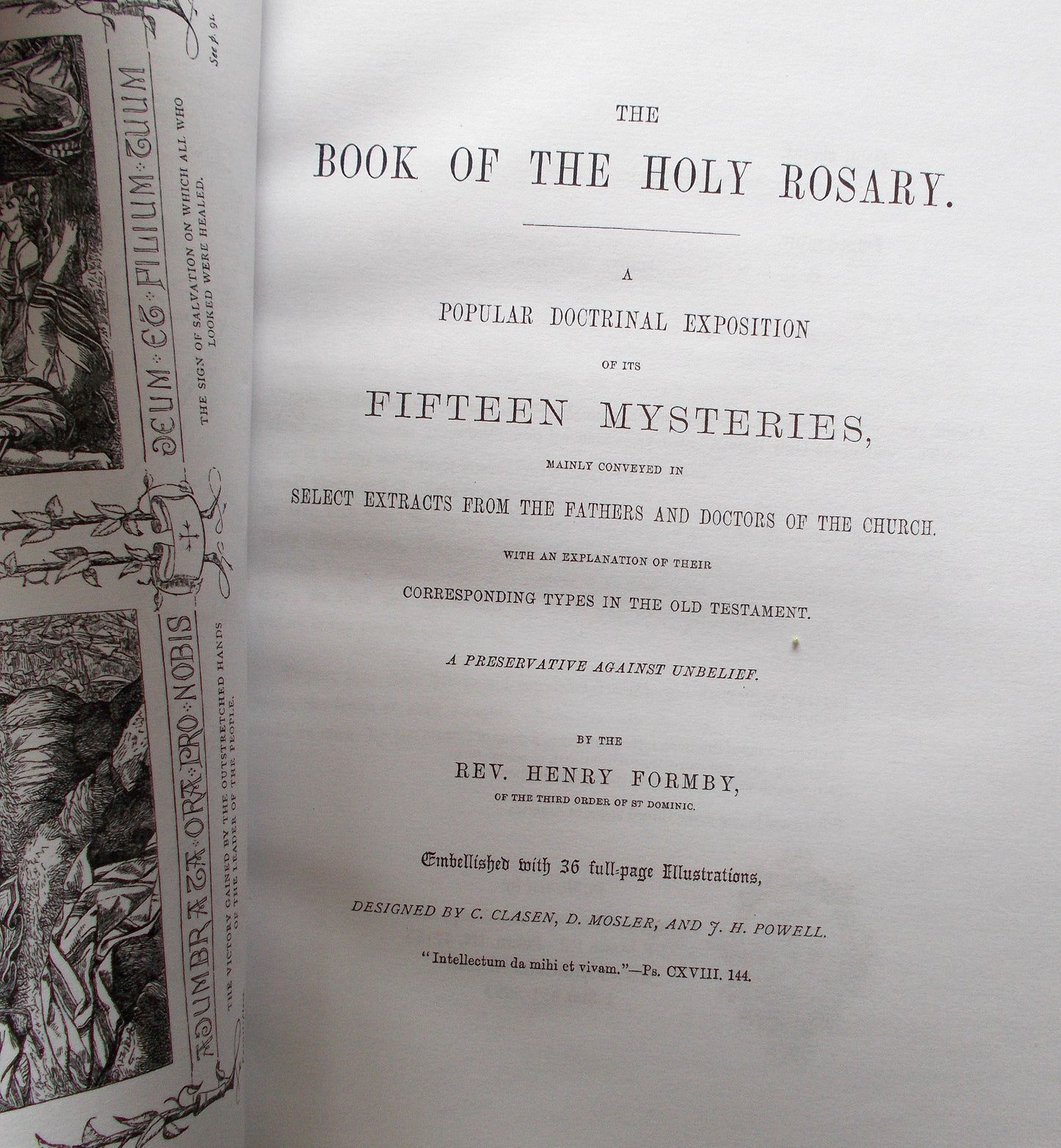 The Book of the Holy Rosary - Used