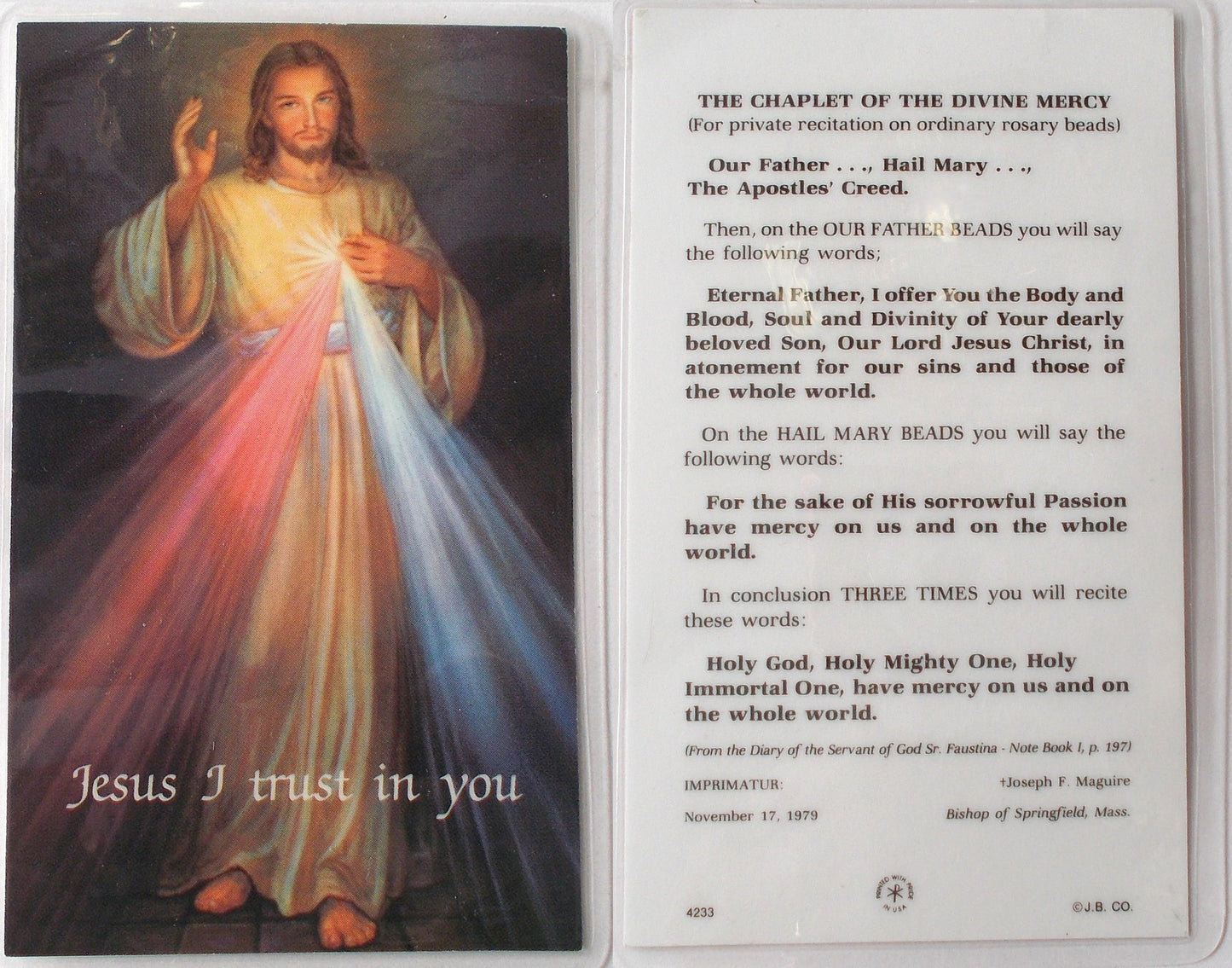 Laminated - Jesus - Divine Mercy