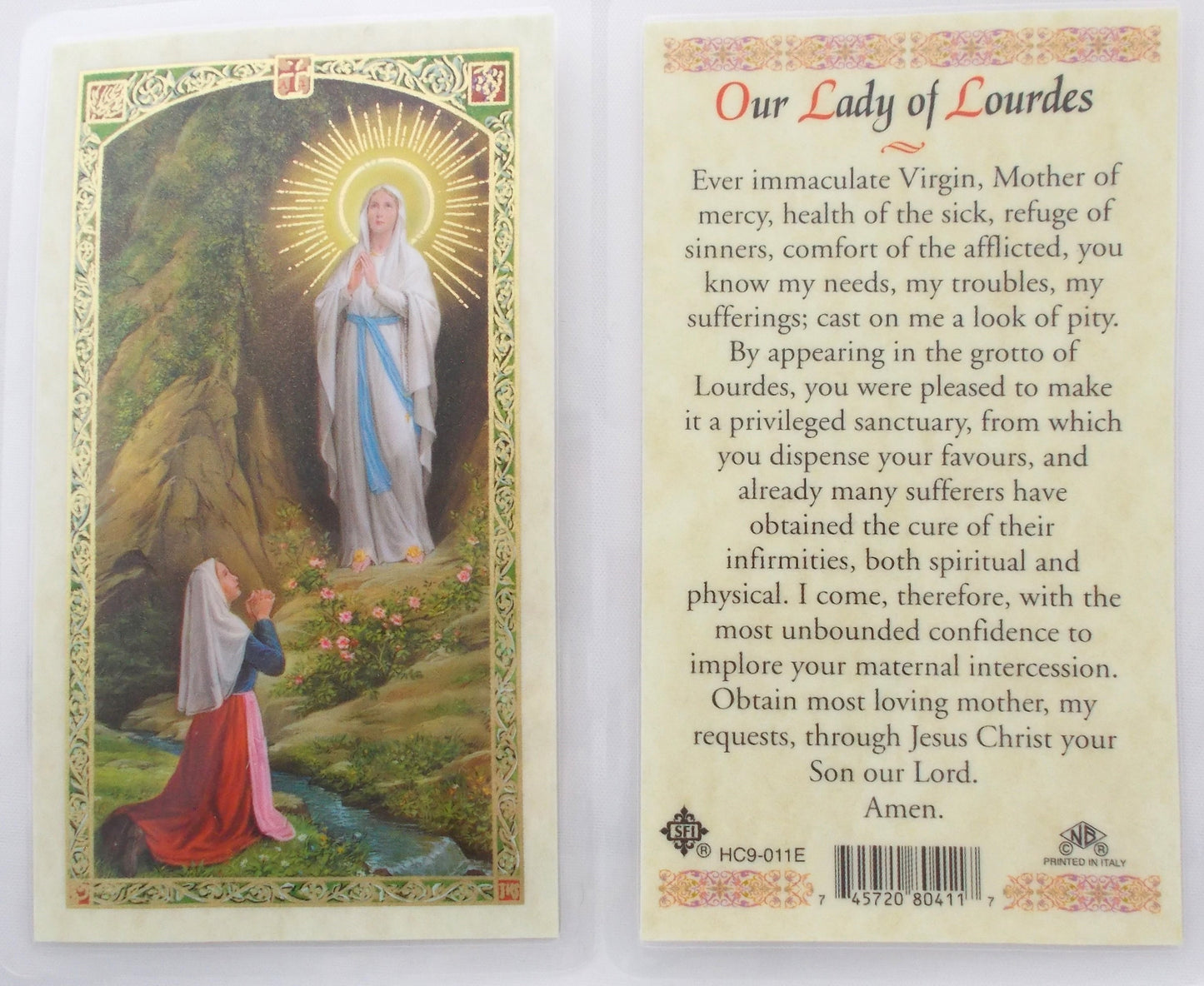 Laminated - Our Lady of Lourdes