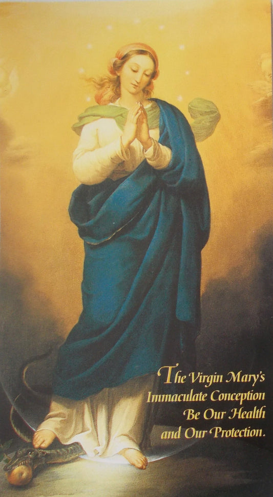 Immaculate Conception Chaplet of Ten Evangelical Virtues of Mary - Prayercard