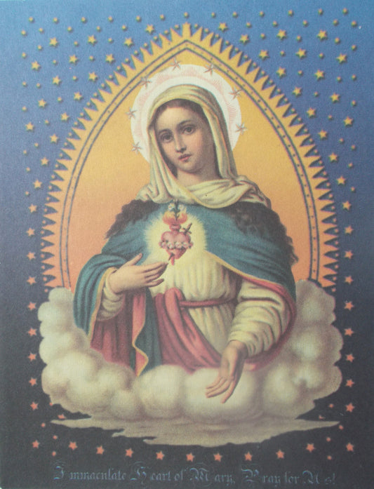 TradeMark NoteCard / BookMark Series - Immaculate Heart of Mary