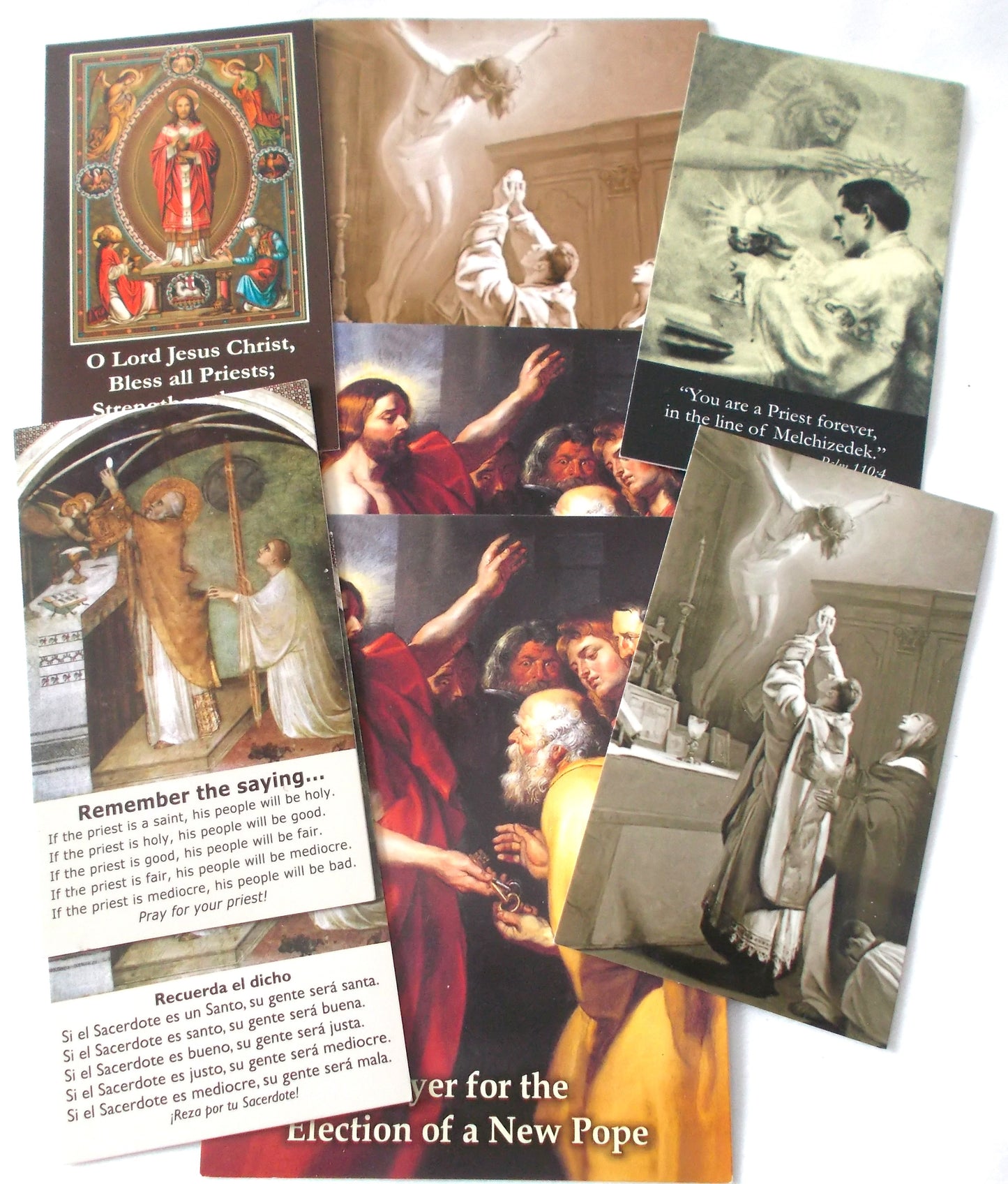 Coated Cardstock - Priest - Bulk Pricing Available!