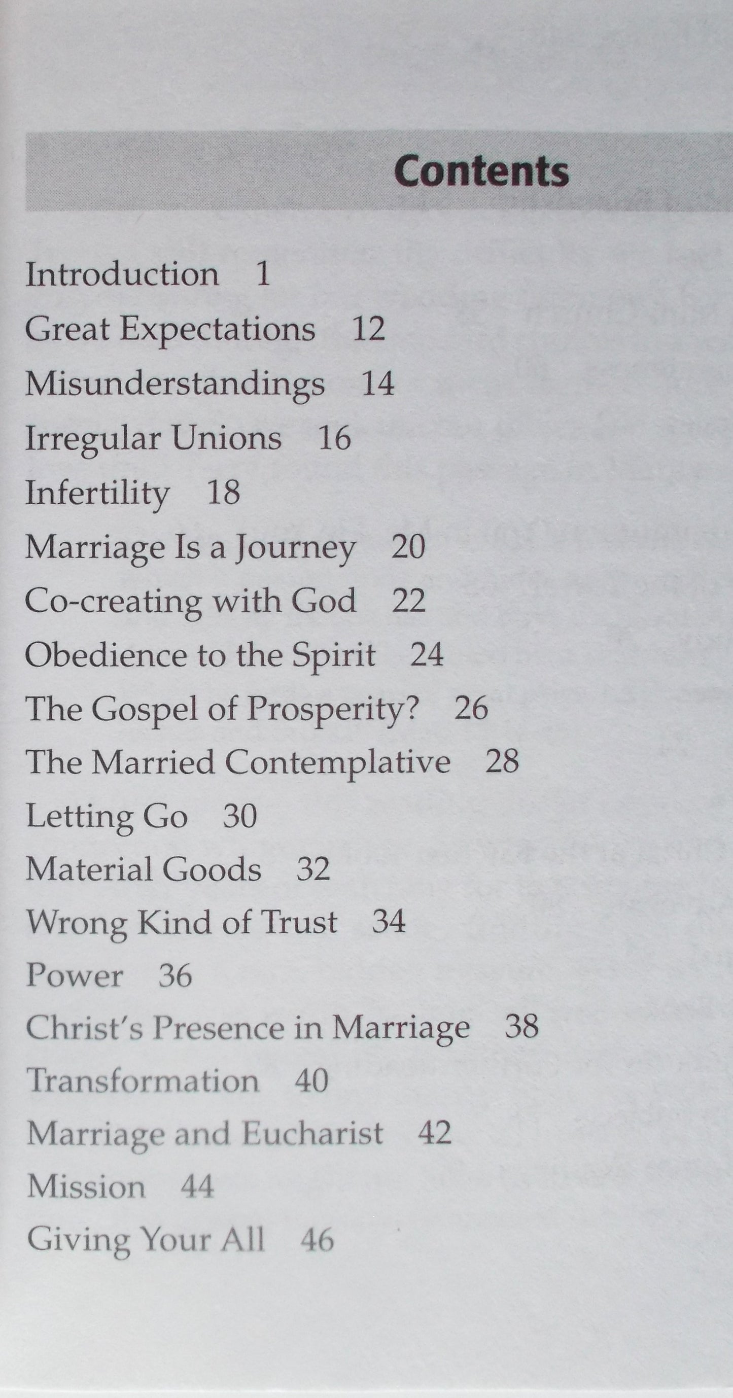 The Pearl of Great Price : Gospel Wisdom for Christian Marriage