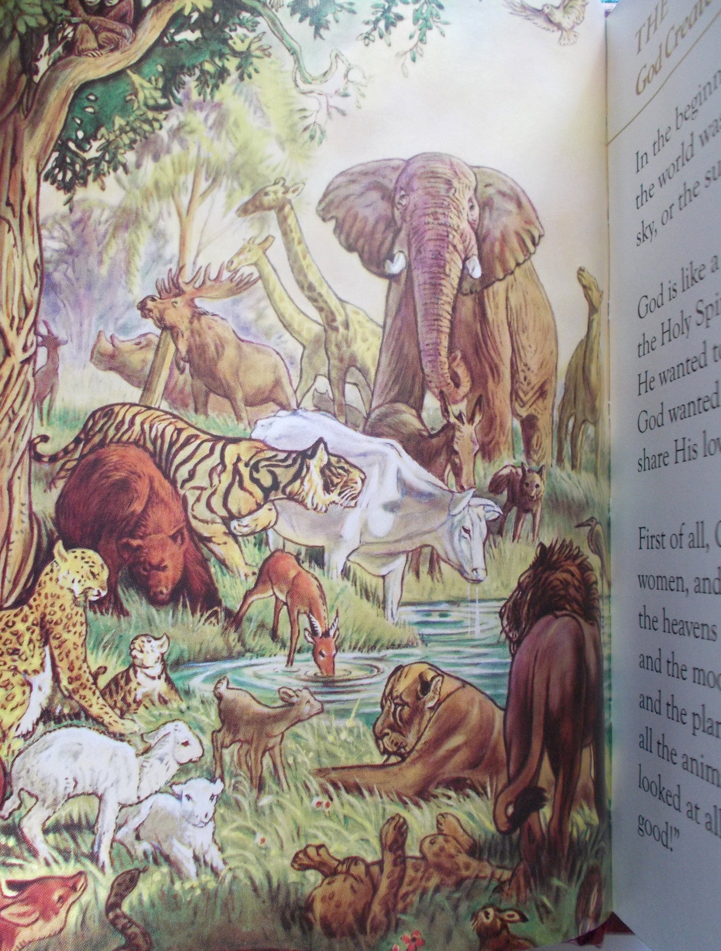 Catholic Children's Bible - Burgundy with Gold- Edged