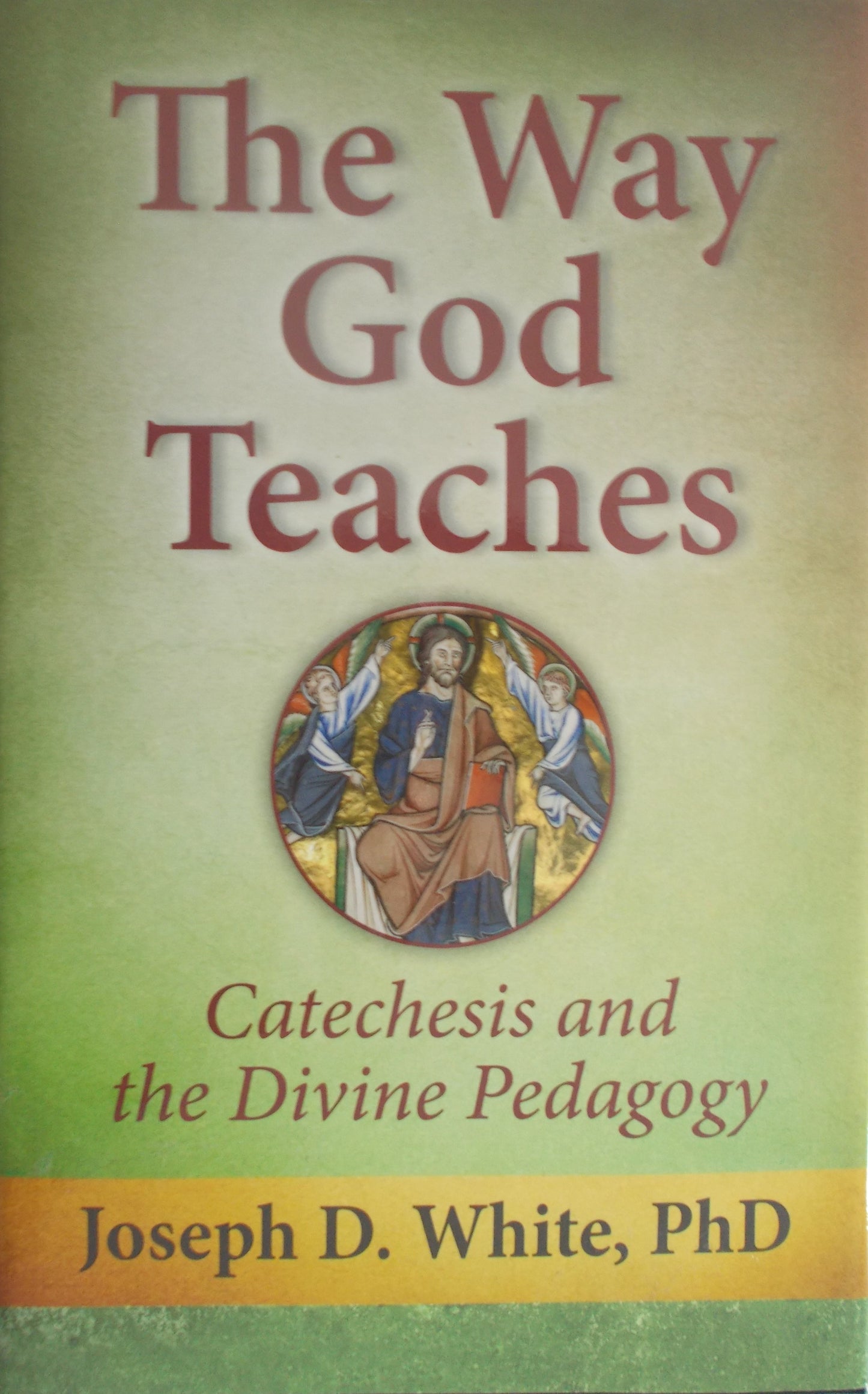 USED - The Way God Teaches - Catechesis and the Divine Pedagogy - Hardcover