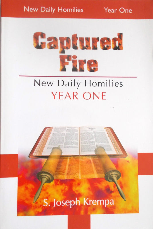 USED - Captured Fire - New Daily Homilies - Year One