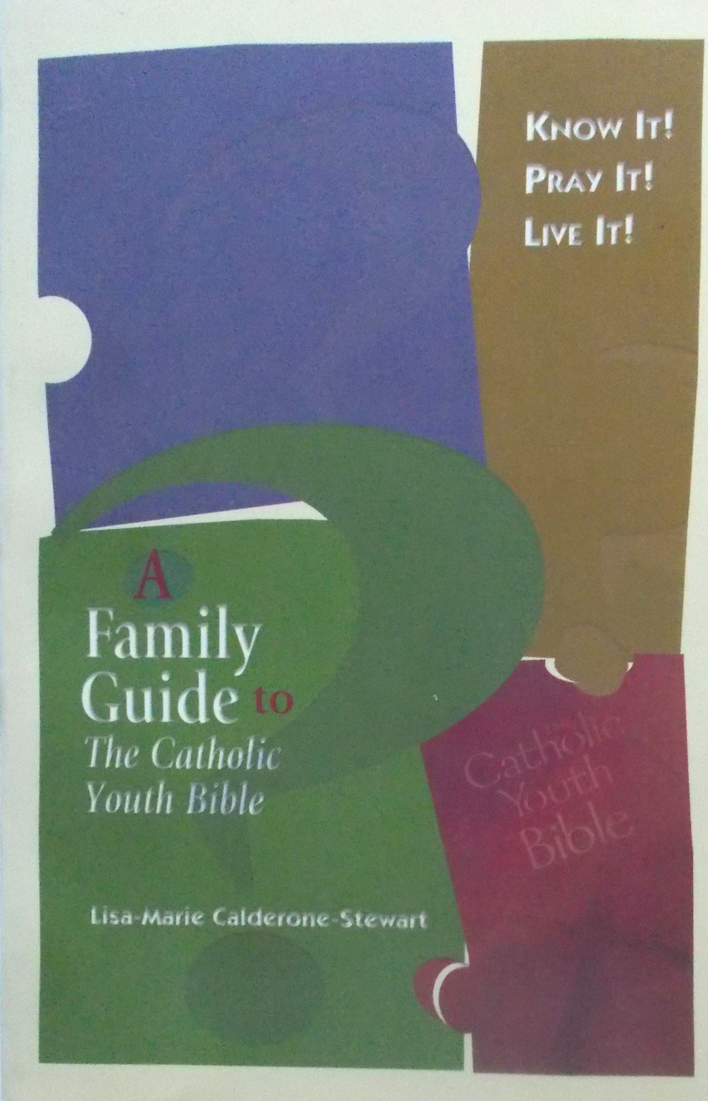 A Family Guide to The Catholic Youth Bible : Know It!, Pray It!, Live It!