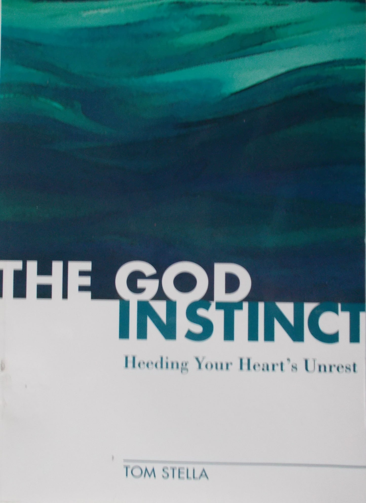 The God Instinct : Heeding Your Heart's Unrest