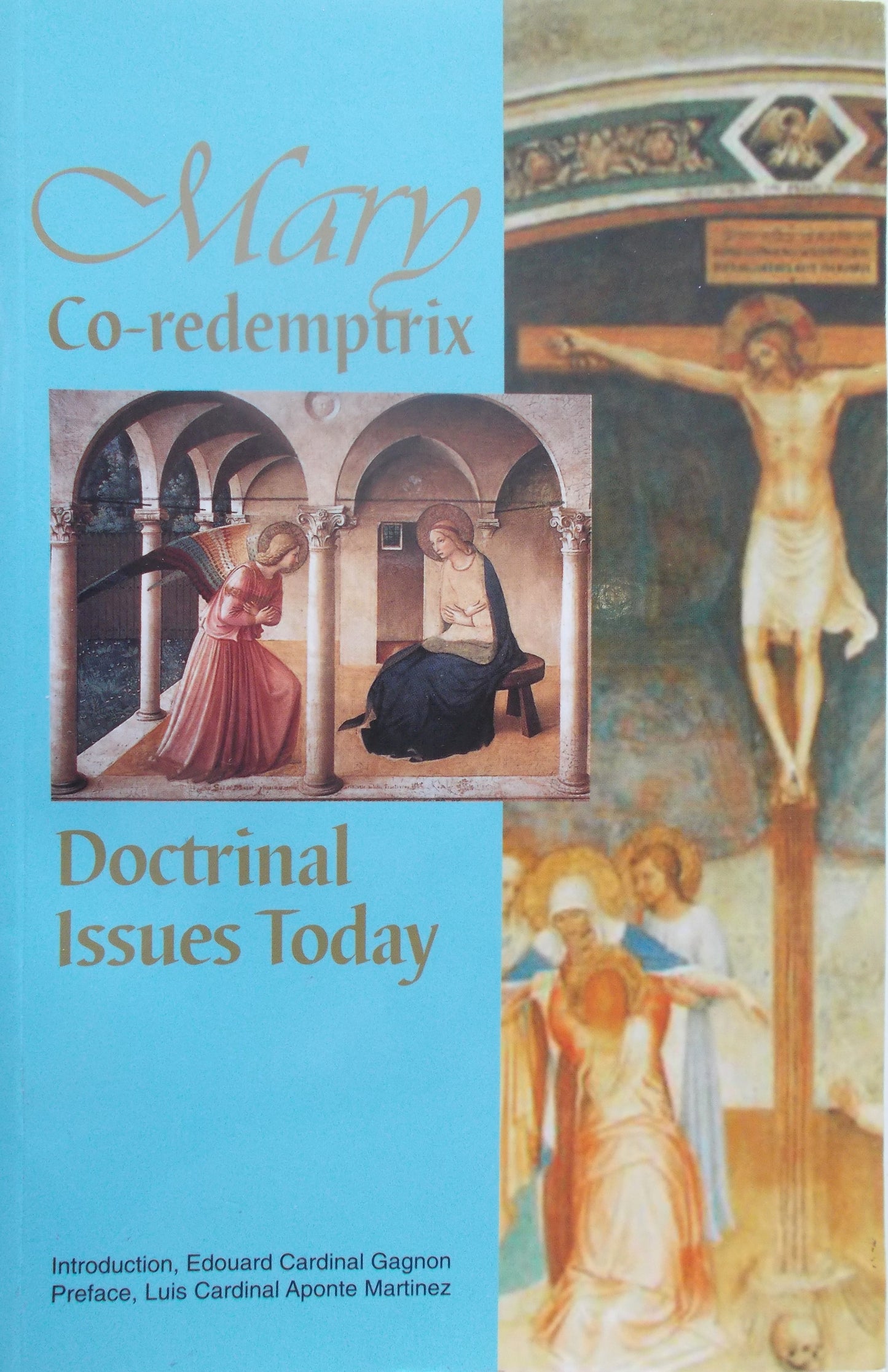 Mary Co-redemptrix Doctrinal Issues Today