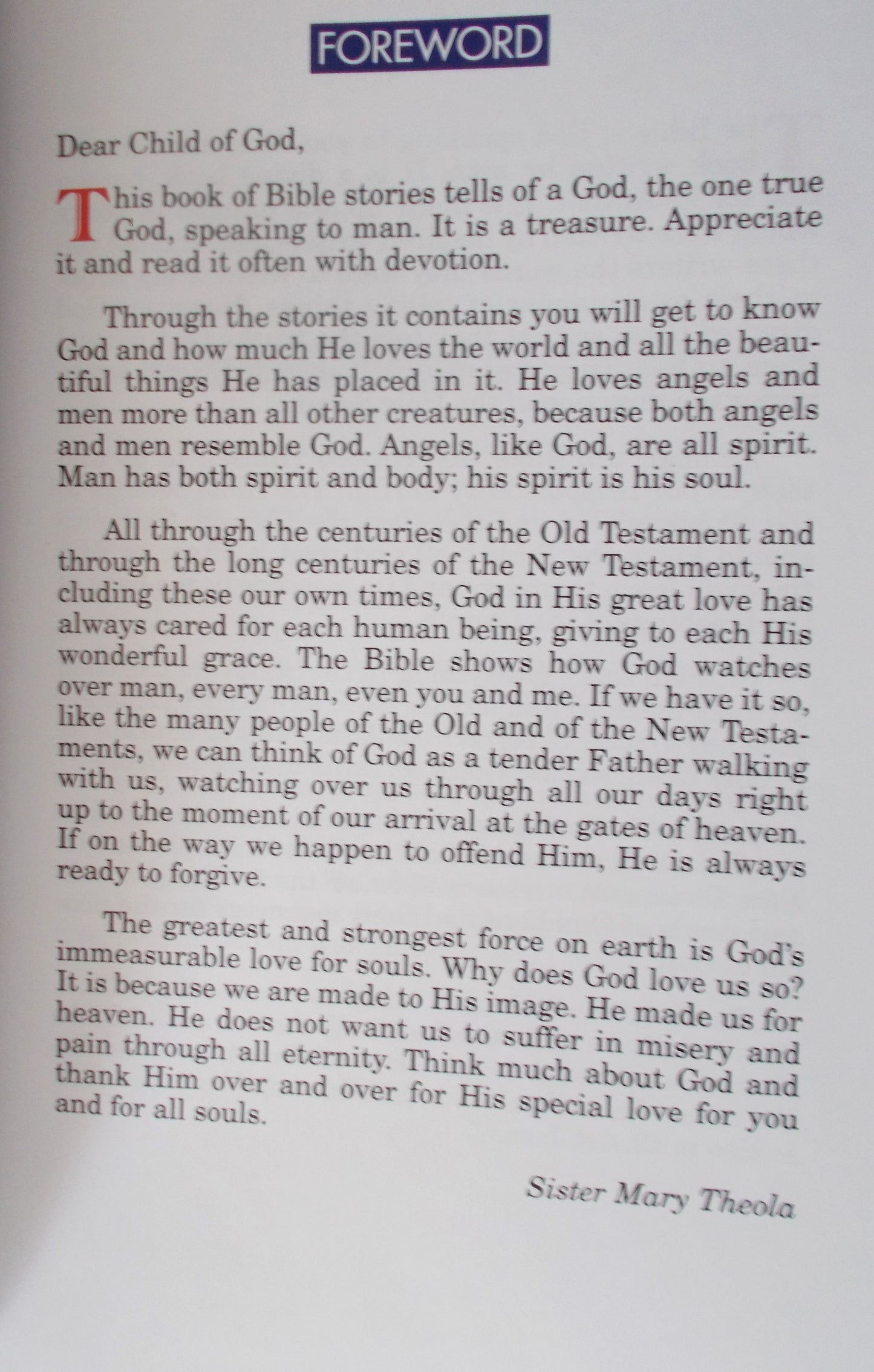 The Catholic Children's Bible - Hardcover