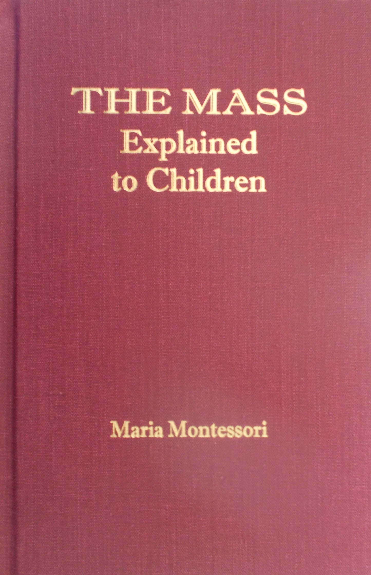 The Mass Explained to Children - Hardcover
