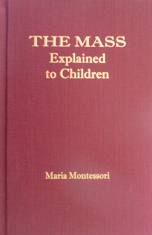 The Mass Explained to Children - Hardcover