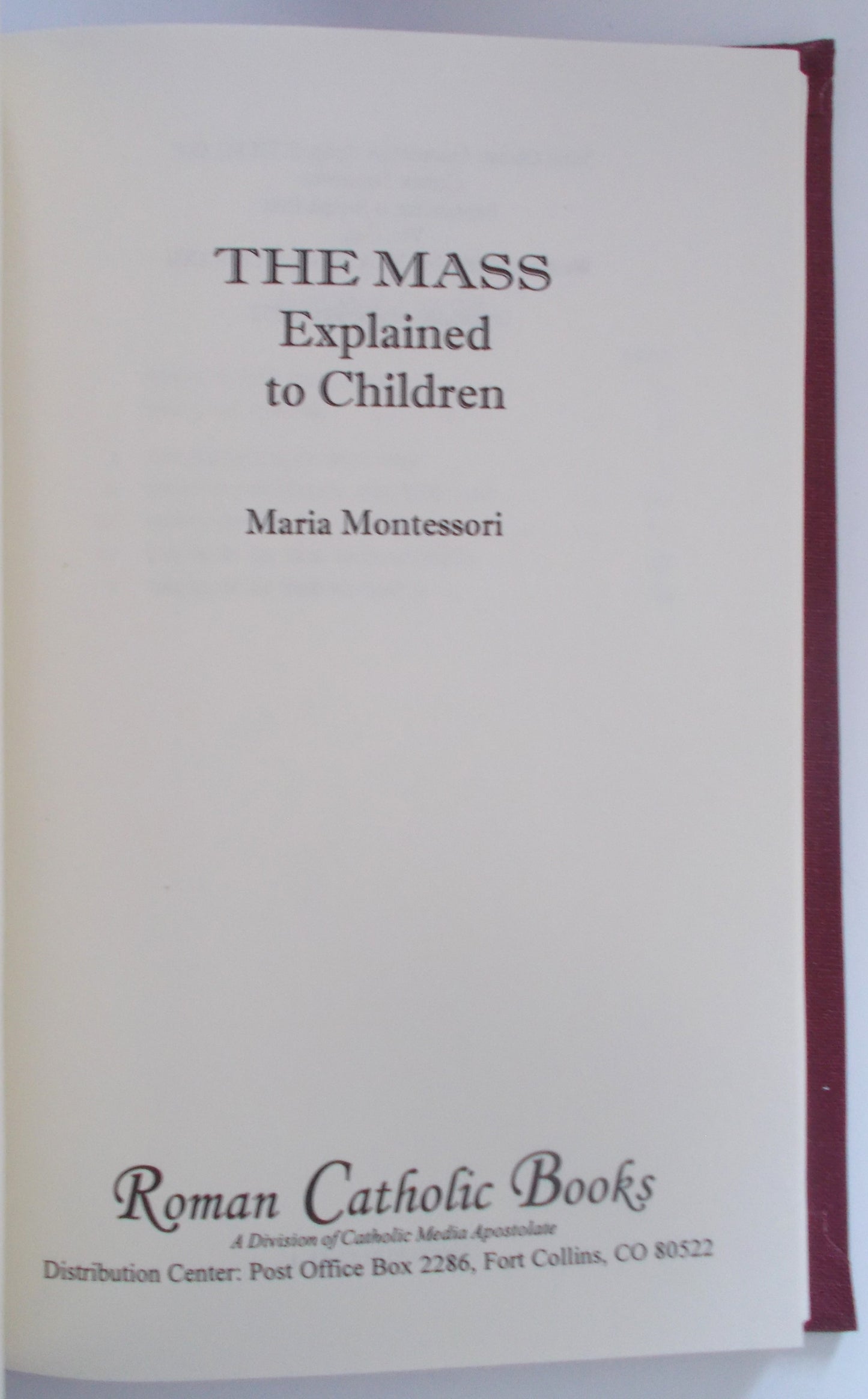 The Mass Explained to Children - Hardcover