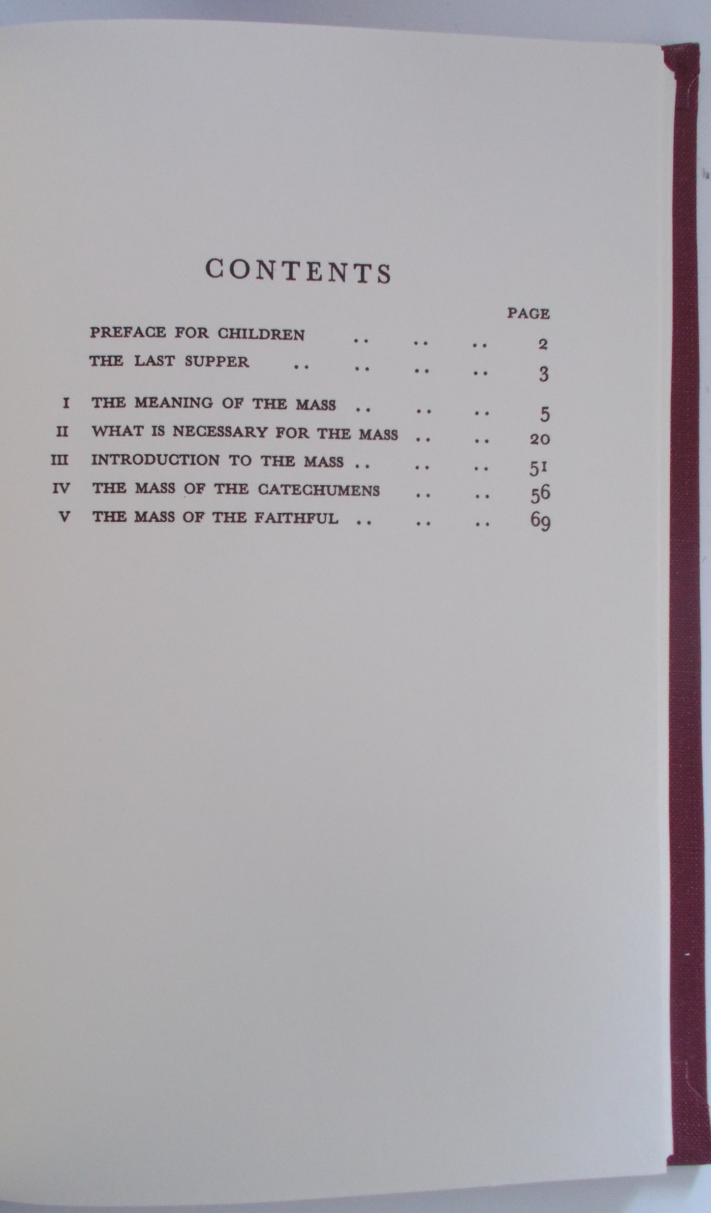 The Mass Explained to Children - Hardcover